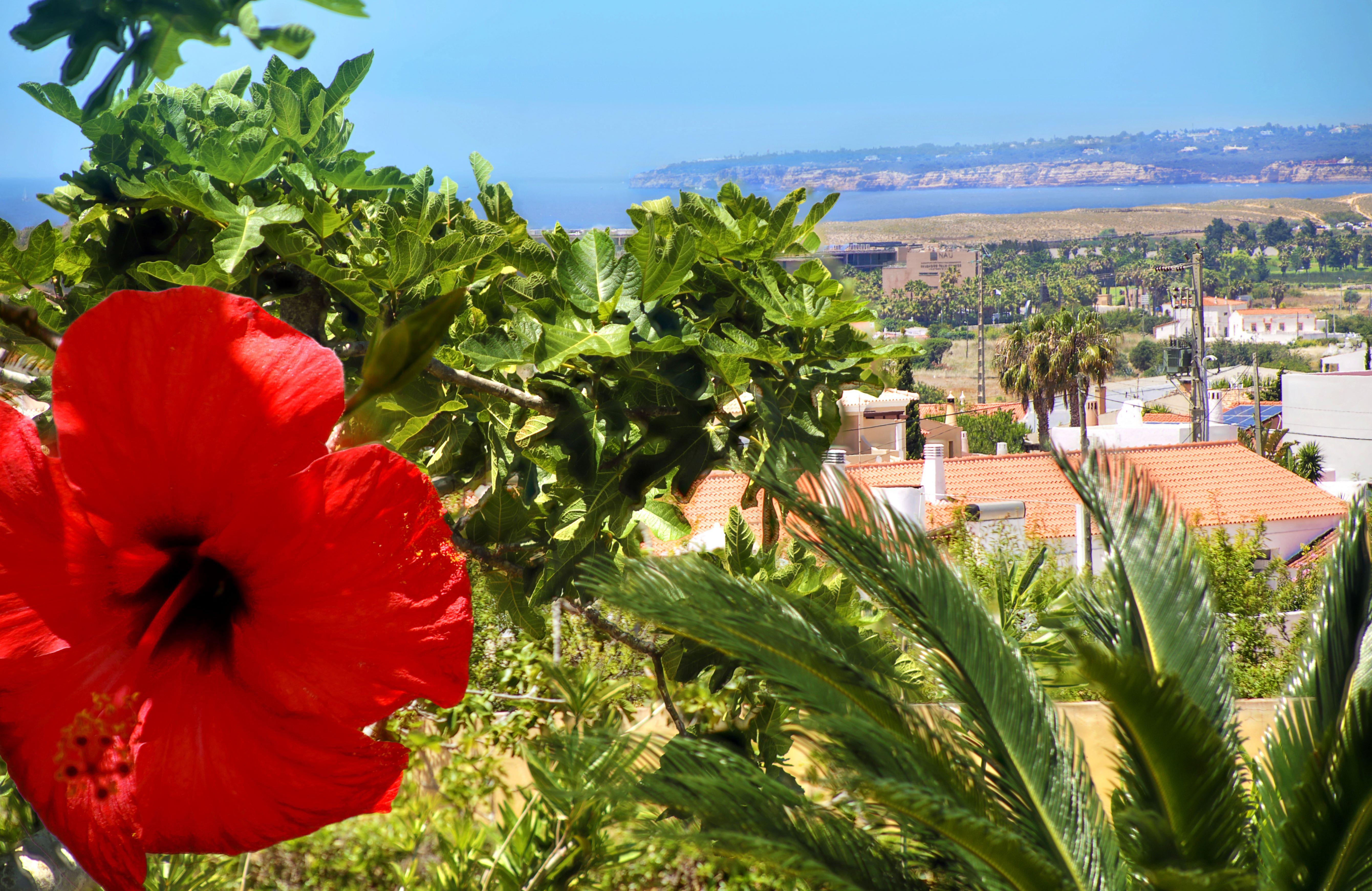 Parque Monte Verde Albufeira Esterno foto